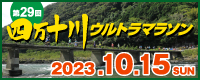 第29回大会ホームページ